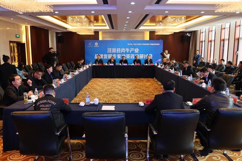 邳州地区企业服务的新浪潮:咨询公司引领行业新趋势